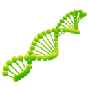 Espirulina DXN